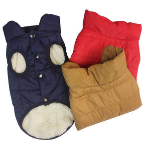 Winter Pet Coat - Albertwithus.com