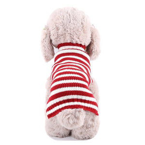 Striped Knit Pet Coat - Albertwithus.com